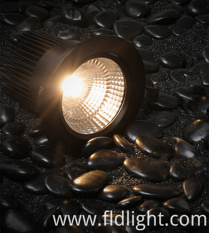 Ceiling lamp Spot light For home lighting